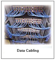 Networking-Data / Voice & Server Setup