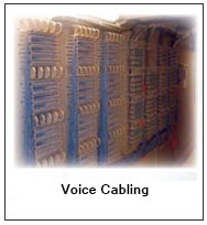 Networking-Data / Voice & Server Setup